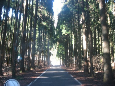 2010年初キャンプ (No.3)