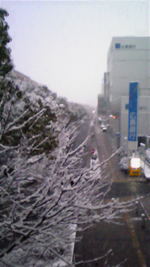 雪ですよ