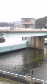 太田川の鮎解禁日は・・・・・