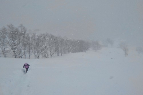 ちょっと豪雪の深入山まで ちょっと豪雪の深入山まで