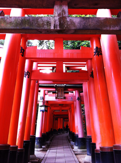 京都一周トレイル(東山〜北山東部)