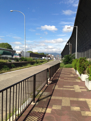 八ヶ岳スーパートレイル100kmを走ってきた。(1)