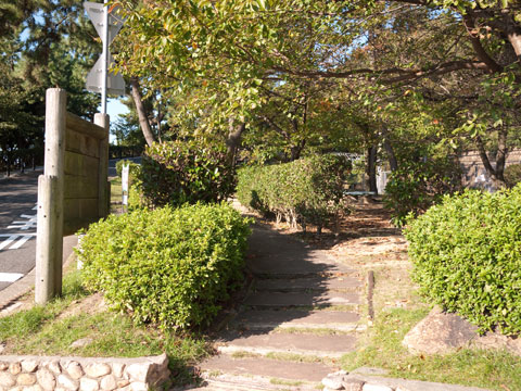 孤高の半縦(全山縦走の1/2)