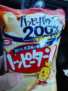 コレはバカかい?