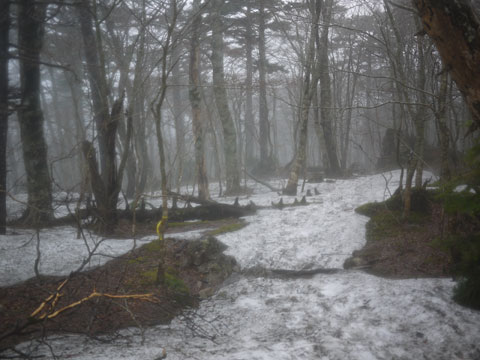 八経ヶ岳山行〜本編〜