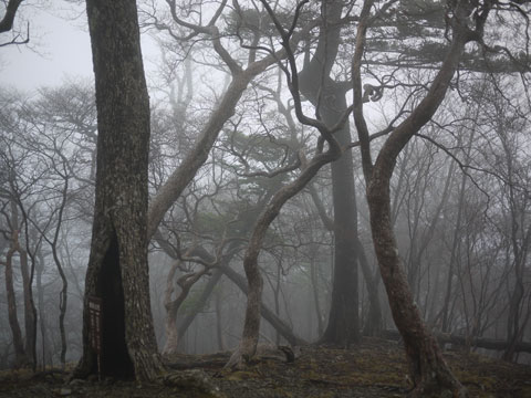 八経ヶ岳山行〜本編〜