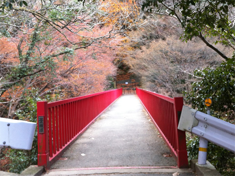 マンプクハイク(2011.12 生駒山)