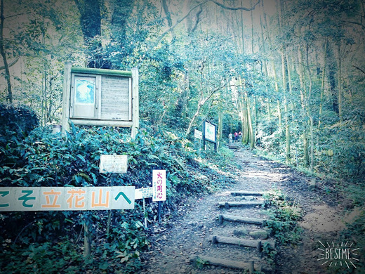 福岡市近郊 最低峰 福岡市近郊 最低峰