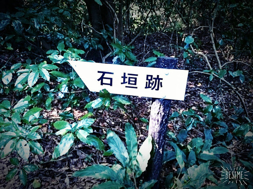 福岡市近郊 最低峰 福岡市近郊 最低峰