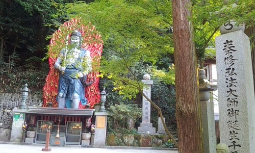 今週の朝チャリ