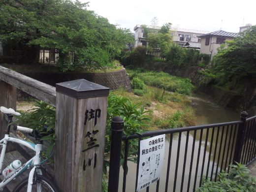 梅雨の晴れ間に