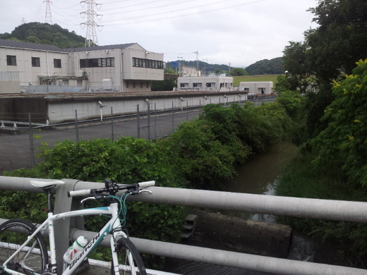 梅雨の晴れ間に