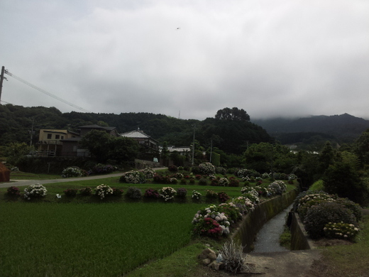 梅雨の晴れ間に