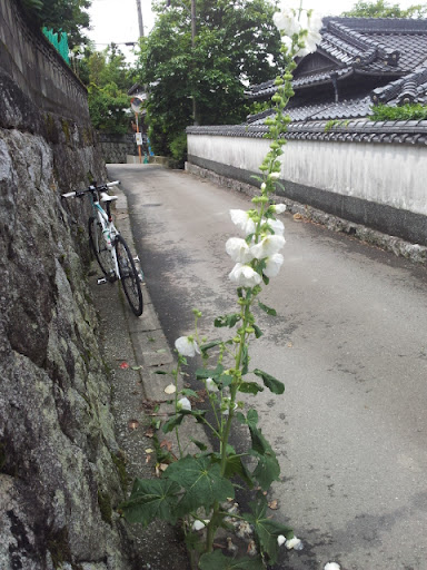 梅雨の晴れ間に