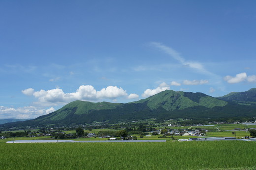 asayanに。