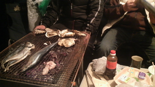 新年おめでとう御座います。