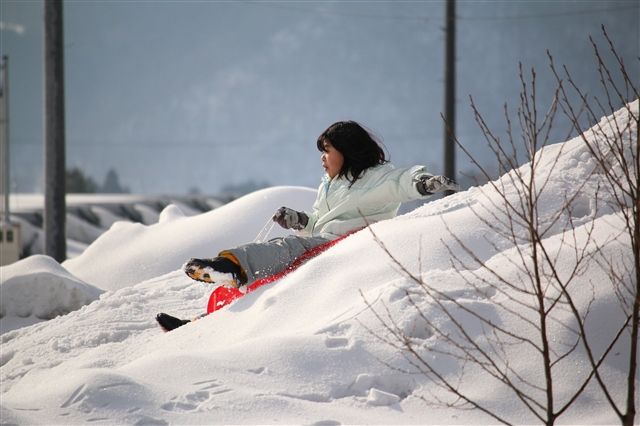 中蒜で雪中