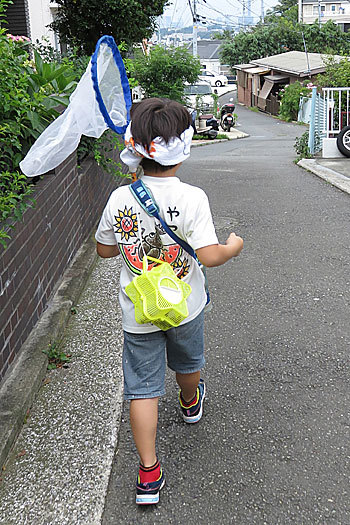 昆虫採集シーズン! 昆虫採集シーズン!
