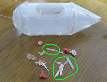 サビキ君にプラスチック片!? サビキ君にプラスチック片!?
