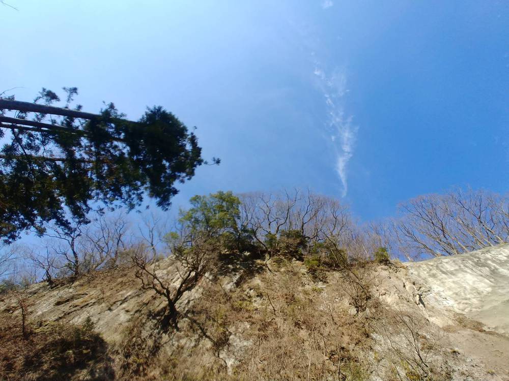 デイキャンプ新年会 デイキャンプ新年会
