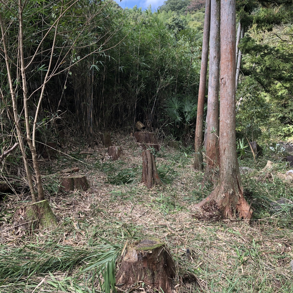 私設キャンプ場? 私設キャンプ場?