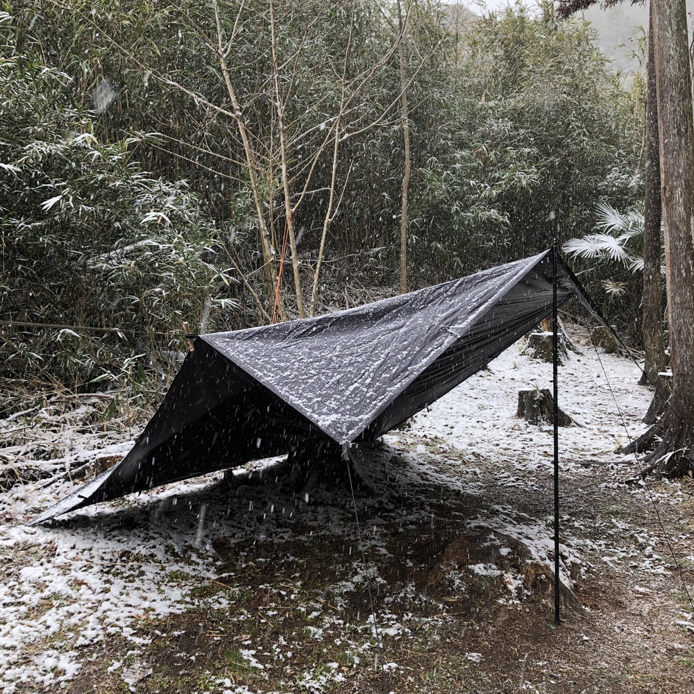 プチ雪中デイ プチ雪中デイ