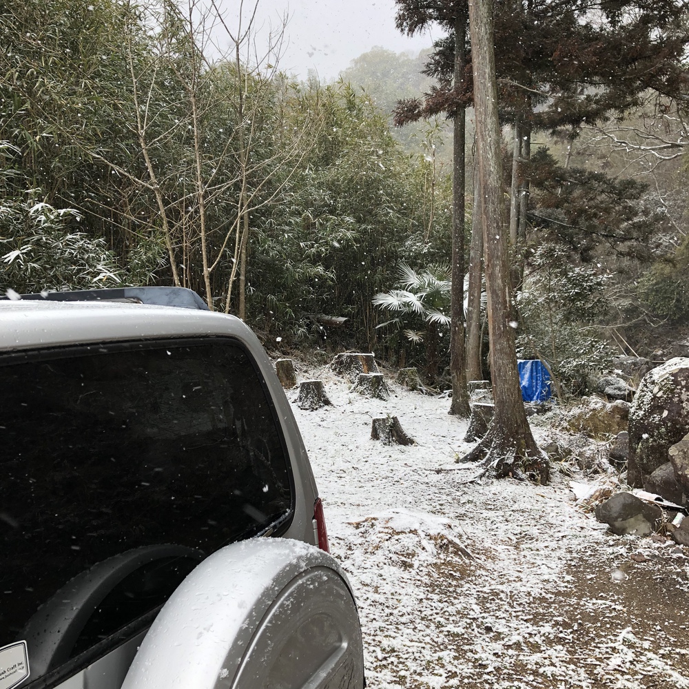 プチ雪中デイ プチ雪中デイ