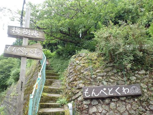 森林公園丹生ヤマセミの郷キャンプ場 森林公園丹生ヤマセミの郷キャンプ場