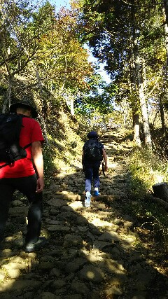 03:久々の登山 大山(1252m) 03:久々の登山 大山(1252m)
