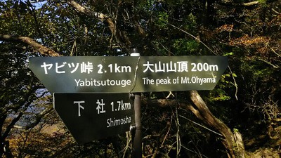 03:久々の登山 大山(1252m) 03:久々の登山 大山(1252m)