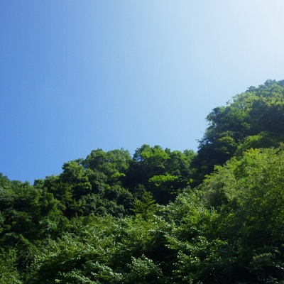 夏休み、最後の週末は。 夏休み、最後の週末は。