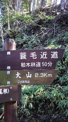 03:久々の登山 大山(1252m) 03:久々の登山 大山(1252m)