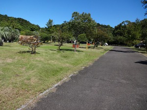 大池オートキャンプ場 マーレリッコ 大池オートキャンプ場 マーレリッコ