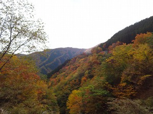 猿谷ダム　奈良公園
