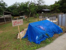 かほく市大崎海浜公園 8番ラーメン かほく市大崎海浜公園 8番ラーメン