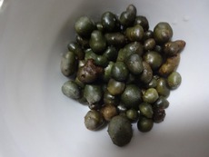 黒枝豆 むかご 黒枝豆 むかご