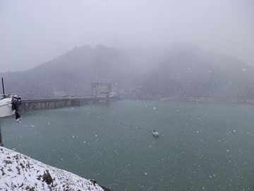 突然の雪