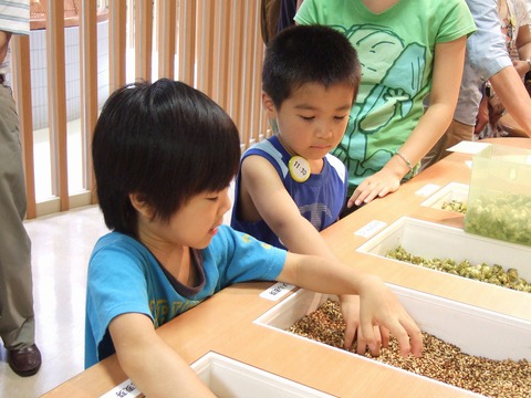 キリンビール工場 見学 キリンビール工場 見学