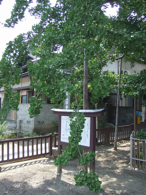 帰り道 久遠寺 帰り道 久遠寺