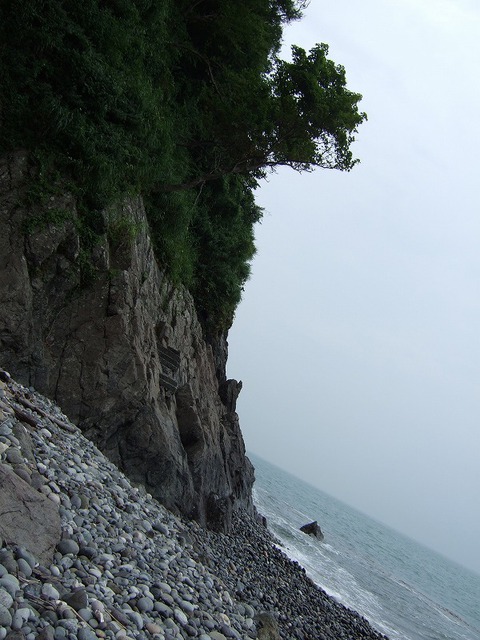 海浜公園キャンプ場 トロッコ電車 海浜公園キャンプ場 トロッコ電車