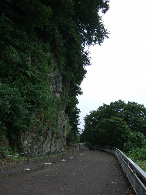 海浜公園キャンプ場 トロッコ電車 海浜公園キャンプ場 トロッコ電車
