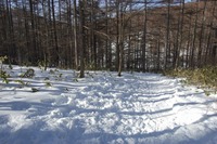 入笠山(09/02/22)