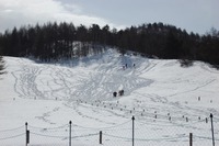 入笠山(09/02/22)