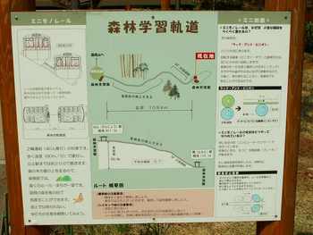 国見の森公園