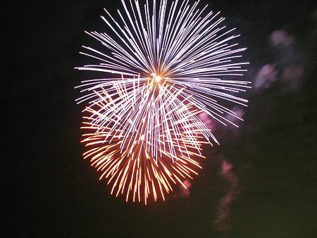 またもや花火見物