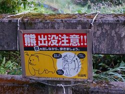 湯の原温泉オートキャンプ場2