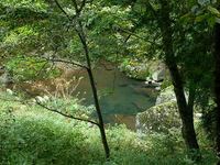 湯の原温泉オートキャンプ場2
