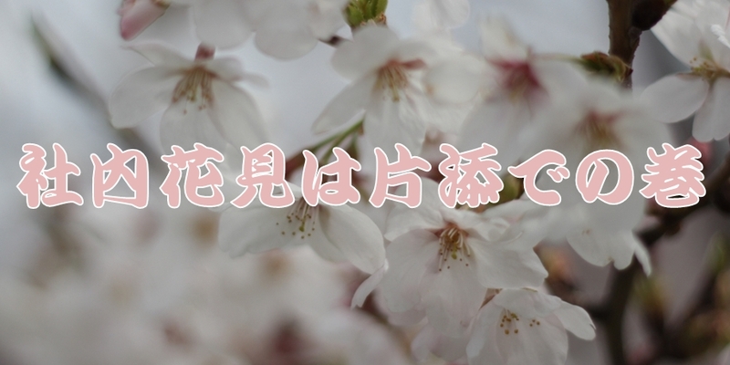 花見in片添