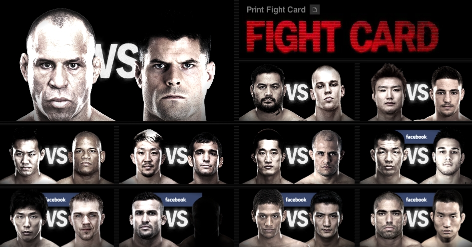 UFC JAPAN 2013