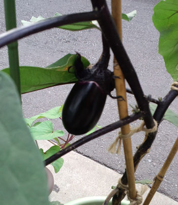 もうちょっと。